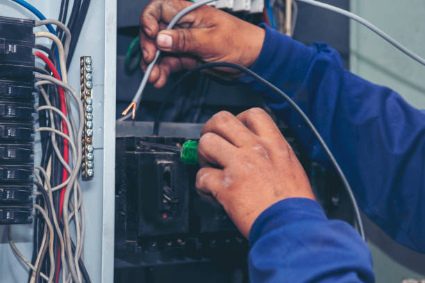 Best Ceiling Fan Installation Electrician  in , MI