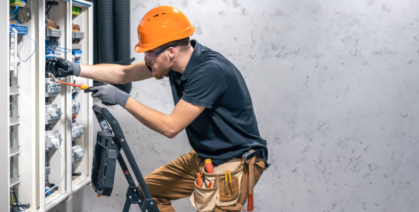 Best Electric Panel Repair  in , MI
