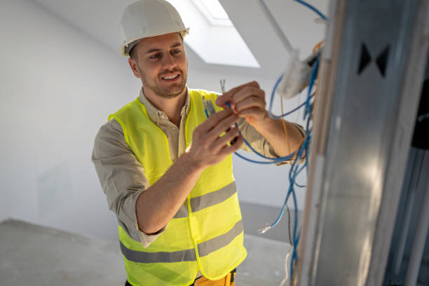Best Affordable Electrician  in , MI